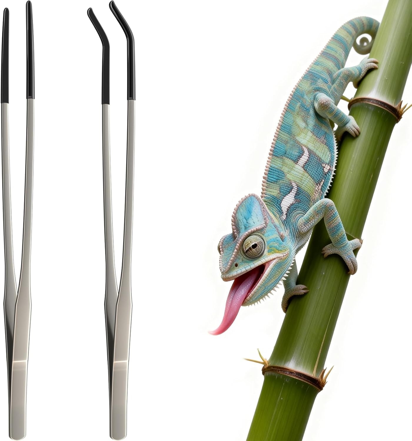 Feeding Tong Stainless - 2 Pinzas de Alimentación para Reptiles