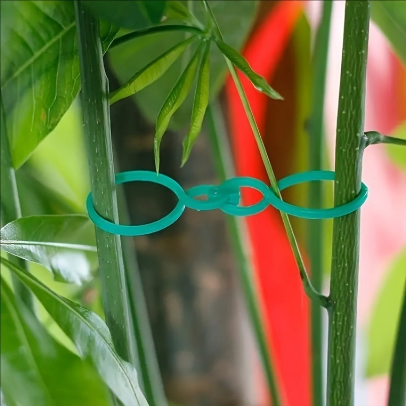 Kit de soporte para plantas de - Vine Climbing Plastic reseña y precio