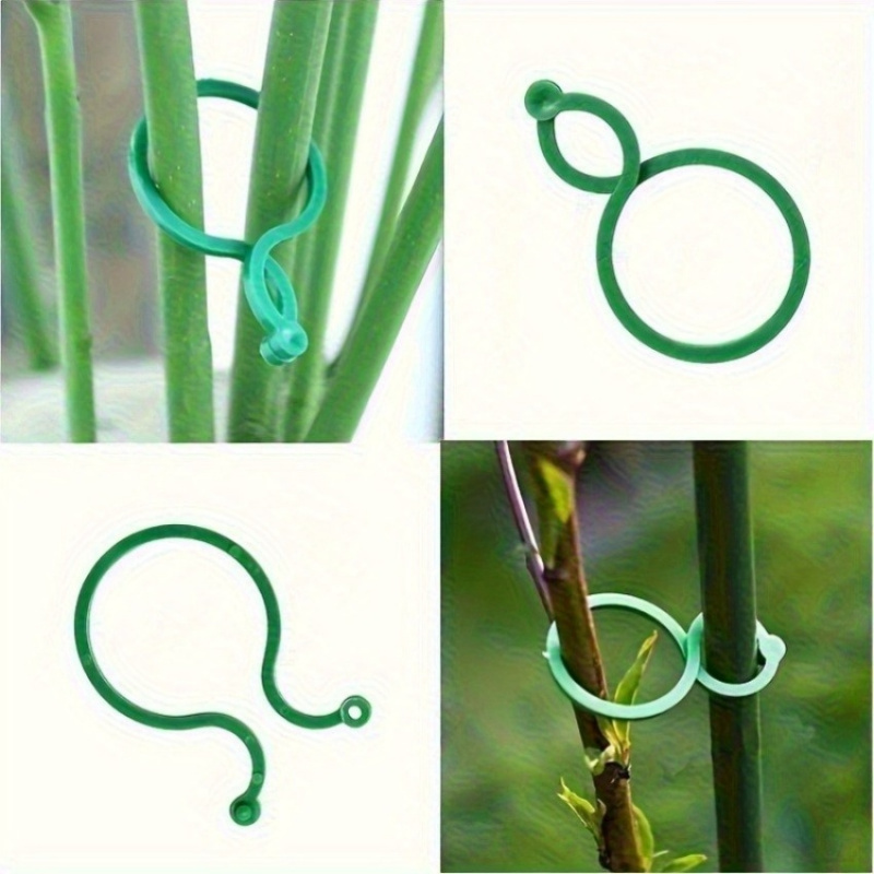 Kit de soporte para plantas de - Vine Climbing Plastic reseña y precio