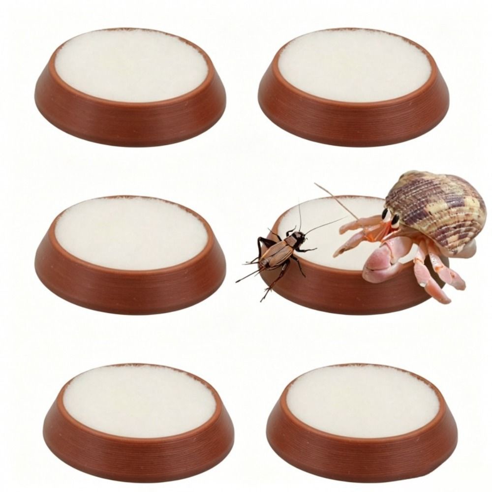 6 Platos Portátiles Reutilizab - Water Dish Reptile reseña y precio