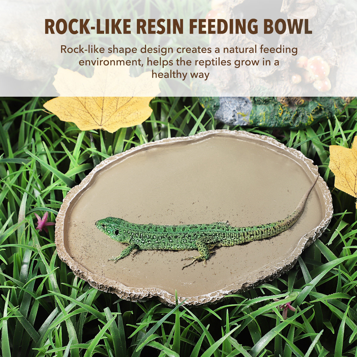 Tazón de Alimentación para Rep - Water Dish Reptile reseña y precio