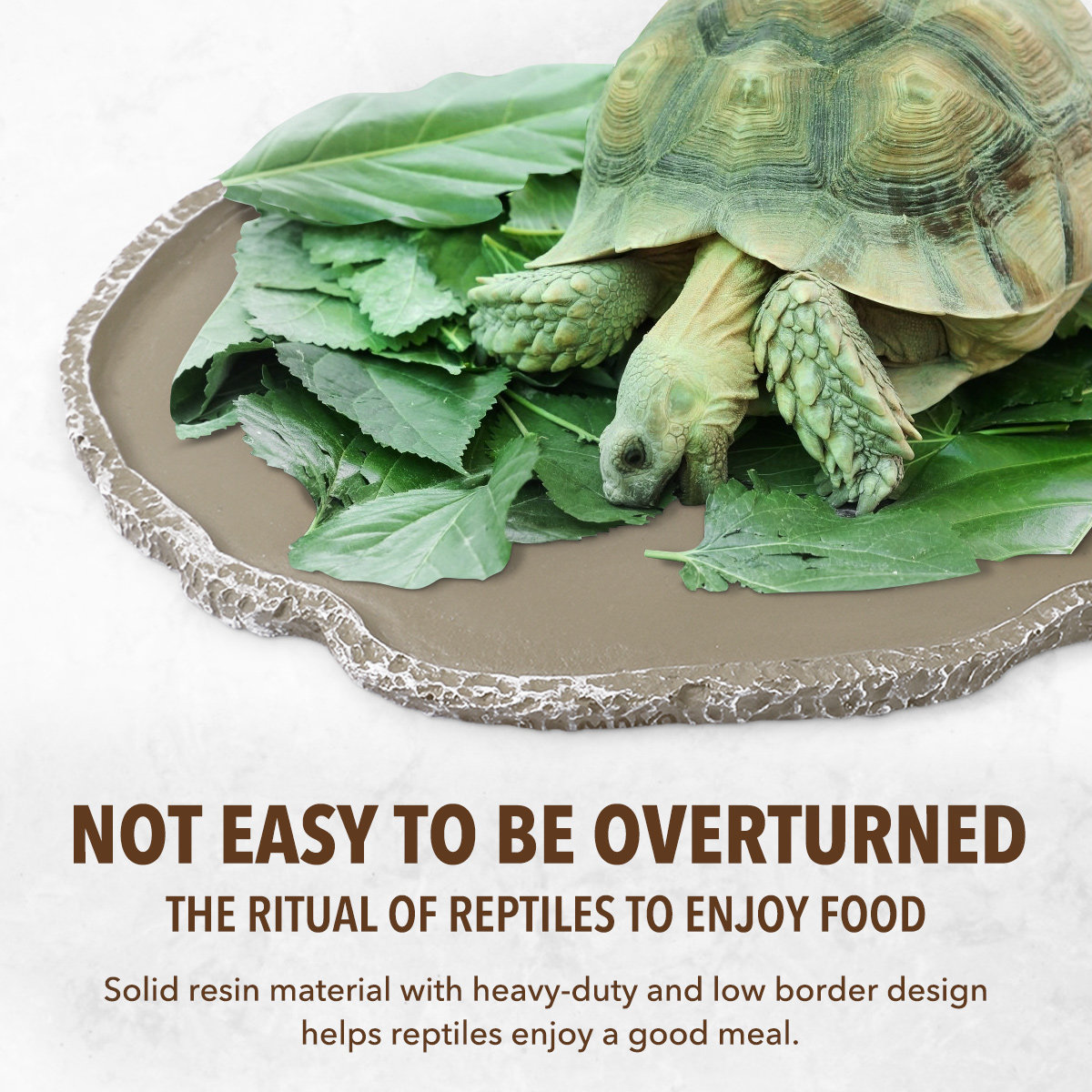 Tazón de Alimentación para Rep - Water Dish Reptile reseña y precio