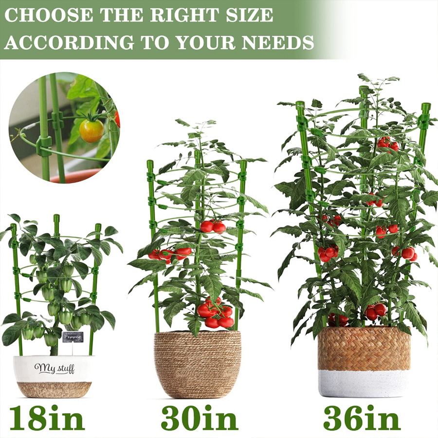 Jaula de soporte para plantas  - Vine Climbing Plastic reseña y precio