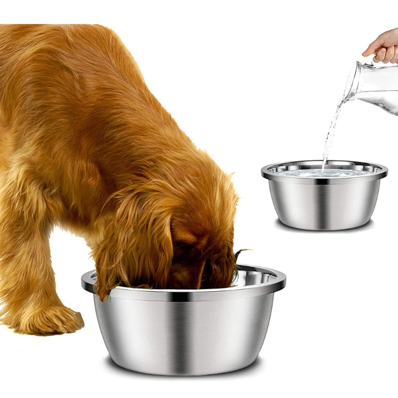 Comederos para perros de acero - Royal Canin Food Medium reseña y precio