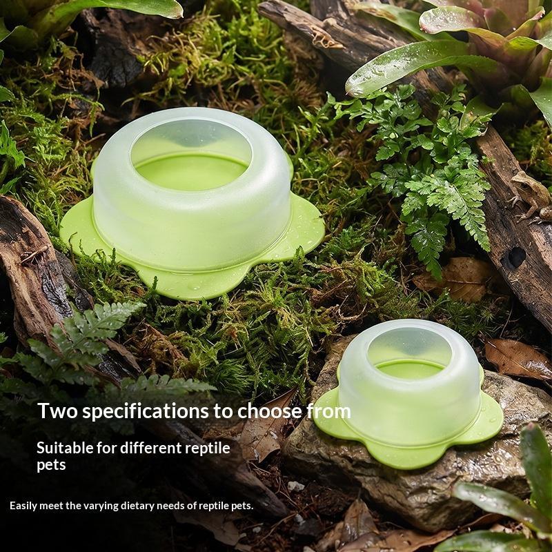 Plato de alimentación para rep - Water Dish Reptile reseña y precio