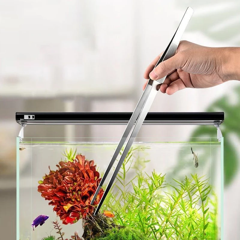 Pinzas de Acero Inoxidable par - Feeding Tong Stainless reseña y precio