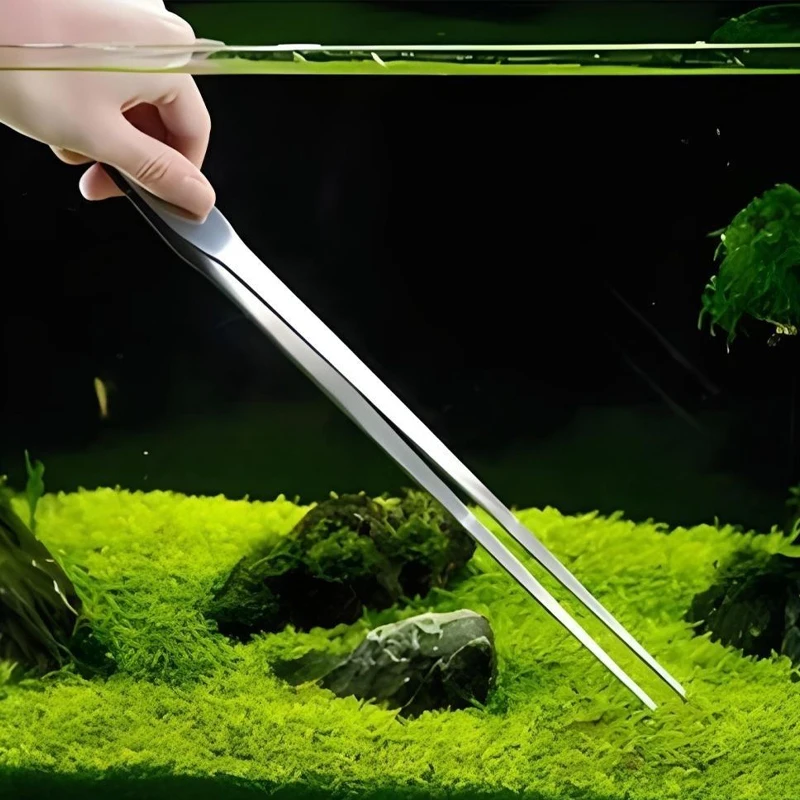 Pinzas de Acero Inoxidable par - Feeding Tong Stainless reseña y precio