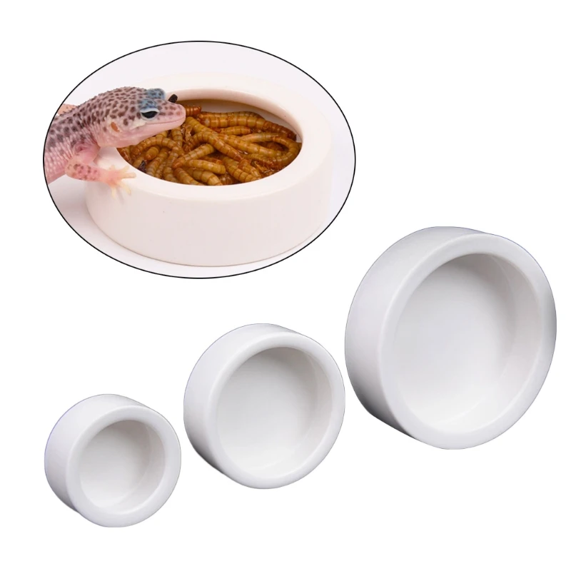 Comedero de Cerámica Anti-Esca - Water Dish Reptile reseña y precio