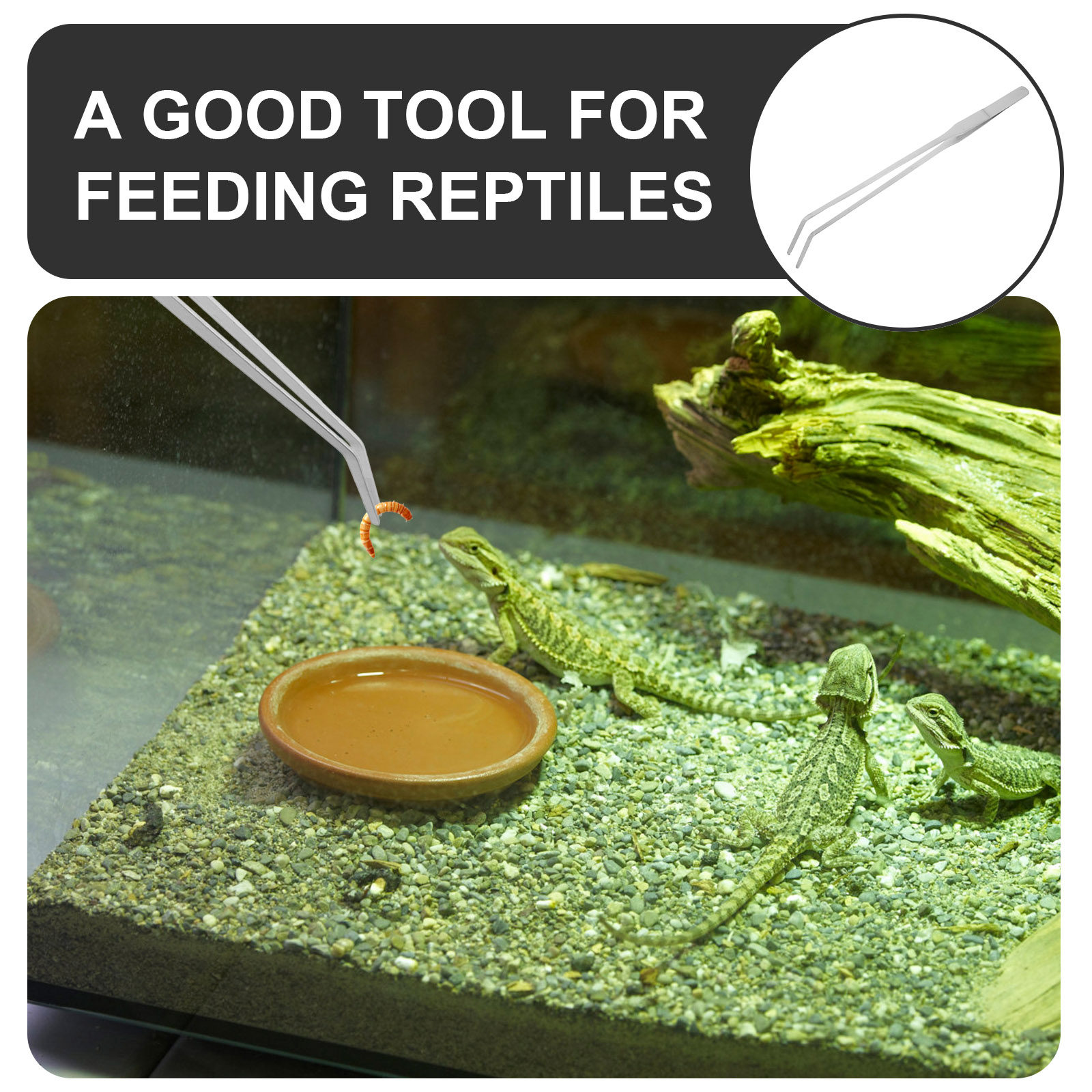 6 pinzas de acero inoxidable d - Feeding Tong Stainless reseña y precio