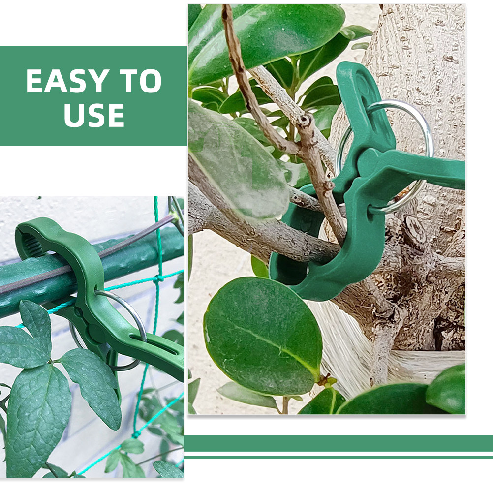 60 unidades de clips de plásti - Vine Climbing Plastic reseña y precio