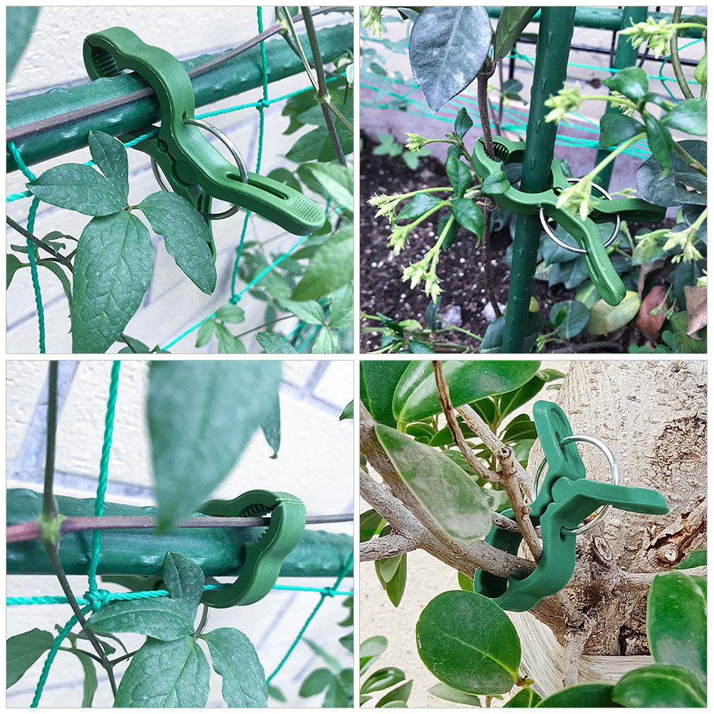 60 unidades de clips de plásti - Vine Climbing Plastic reseña y precio